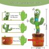 Bluetooth Dancing Cactus 60/120 Songs Speaker Talking Usb Chargeable Voice Repeat Plush Cactus Toy Dance Stuffed Toy Baby Girls